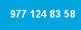 977 124 83 58 977 124 83 58